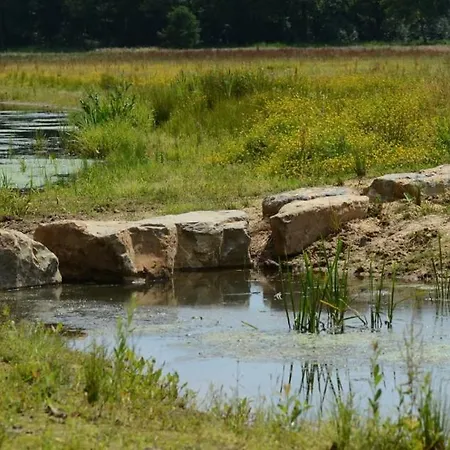 Hébergement de vacances Birdhouse, For Families And Couples Only