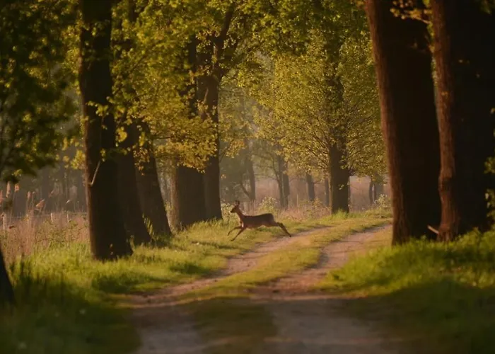 Сasa de vacaciones Birdhouse, For Families And Couples Only