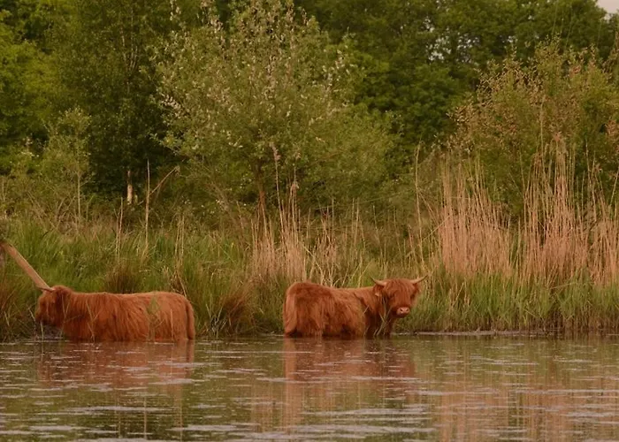 Birdhouse, For Families And Couples Only Blitterswijck