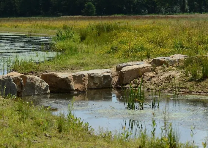 Сasa de vacaciones Birdhouse, For Families And Couples Only